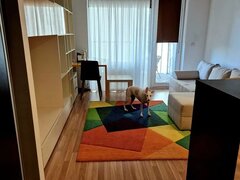 Obor x Colentina x Teiul Doamnei - complex Rose Garden - 12 min metrou Obor